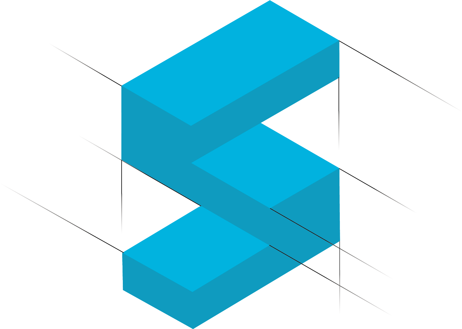 Schwarz Plastic Solutions GmbH